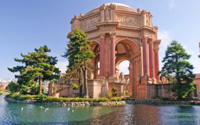 My Search for the True Light